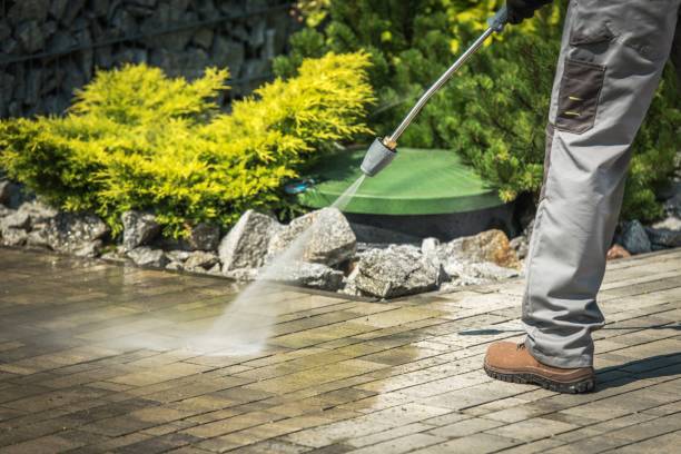 Best Dumpster Area Cleaning  in Hertford, NC